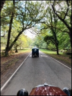 thumbs/1000016288 (Copy).jpg